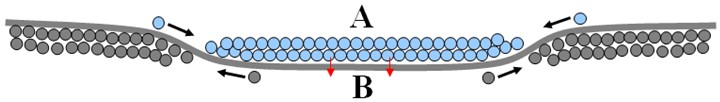 Diagram showing the migration of spations (in blue) from a central cosmic domain A into a larger domain B. Arrows indicate the outward flow of spations. The curved shape represents the confining effect exerted by B on A.