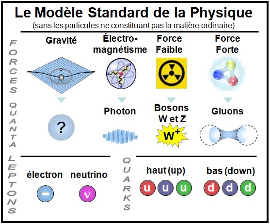 Tableau simplifié du Modèle Standard de la Physique montrant les quatre forces fondamentales et les familles de particules : bosons (photon, W, Z, gluons), leptons (électron, neutrino) et quarks (haut, bas).